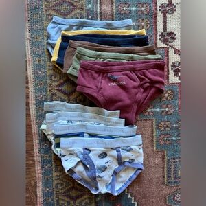 10 pairs of boys underwear 2-3T Gap & Burt’s Bees